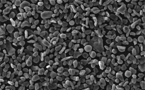 電極材料的準備 電極材料的準備